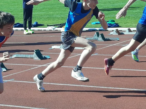 20260429_161751.jpg