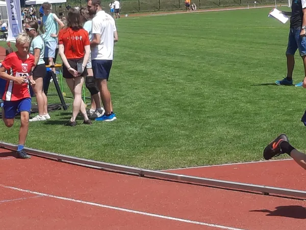 20250615_114251.jpg