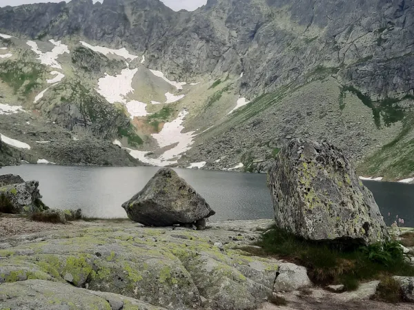 20240630_122114.jpg