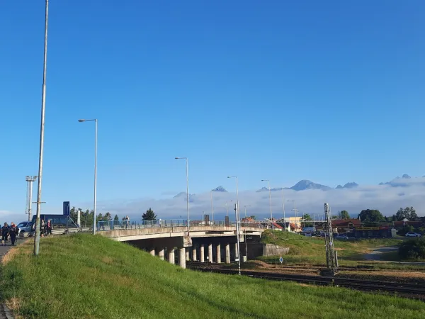 20250708_061644.jpg