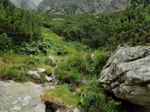 20250708_102638.jpg