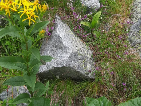 20250708_103607.jpg