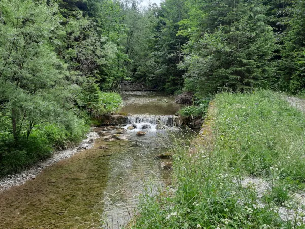 20250709_114805.jpg