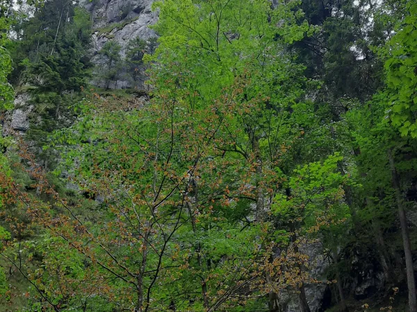 20250709_124846.jpg
