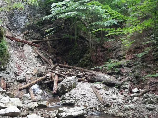 20250709_125504.jpg