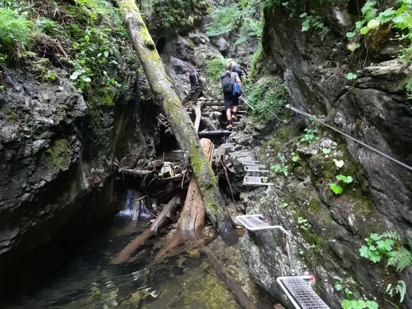 20250709_130618.jpg