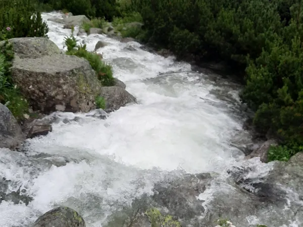 20250710_121105.jpg