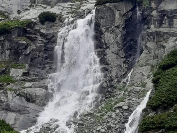 20250710_122234.jpg
