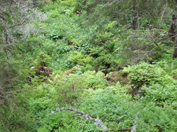 20250710_132449.jpg