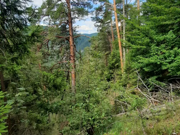 20250711_095608.jpg