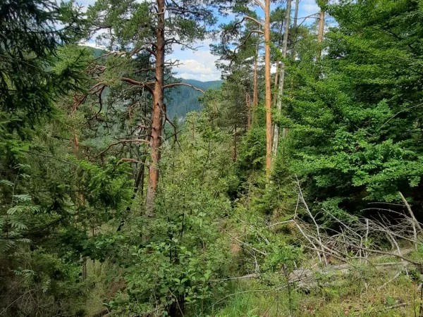 20250711_095615.jpg