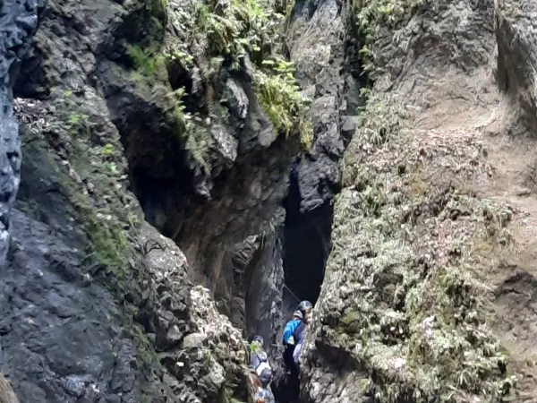 20250711_113440.jpg